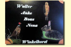 Lasergesneden, poedercoating, Olieverf,  eigen ontwerp (verkocht)