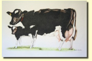 Kleurpotlood (verkocht)