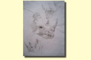 Tekenoefening  grafietpotlood