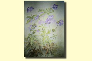 Aquarel