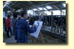 workshop koe 2-800